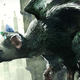Illustration for article titled Game Review: The Last Guardian